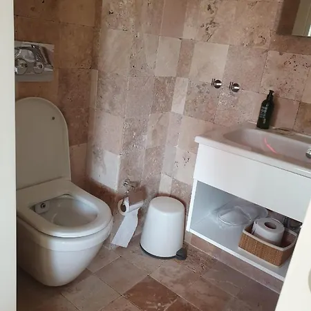 Teos Siğacık
