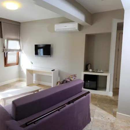 ゲストハウス Teos