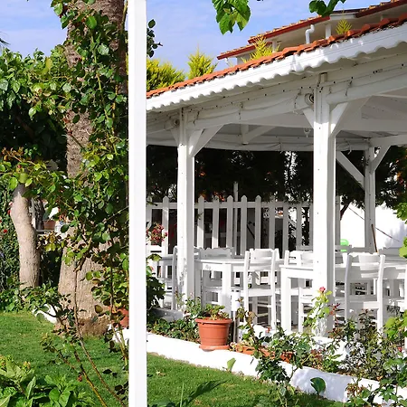 ゲストハウス Teos