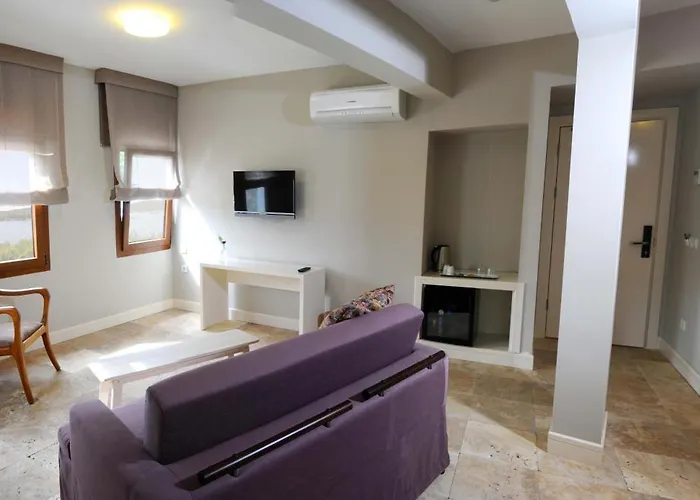 Гостевой дом Teos