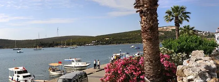 Гостевой дом Teos