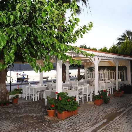 Teos 4* Siğacık
