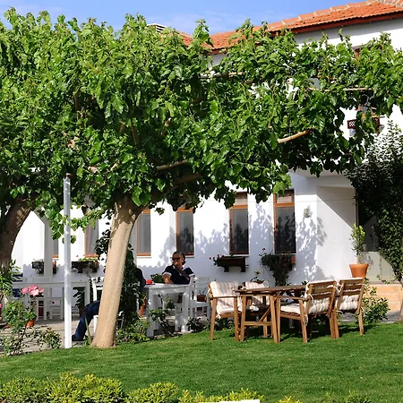 Teos Siğacık